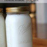 Yummy Homemade Yogurt – Easy and Affordable DIY for the Kitchen