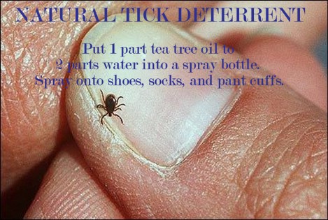 Natural tick deterrent - Top 33 Most Creative Camping DIY Projects and Clever Ideas