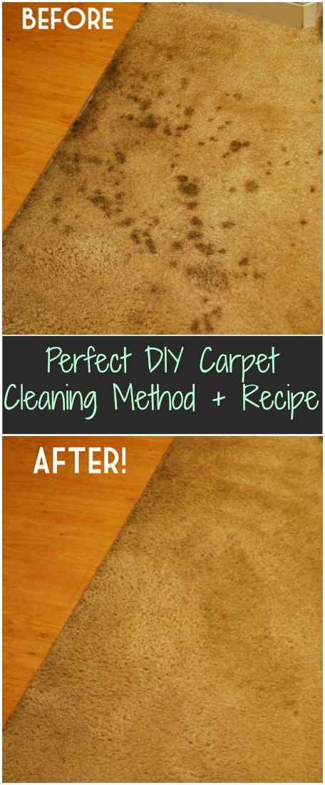 Perfect DIY Carpet Cleaning Method + Recipe
