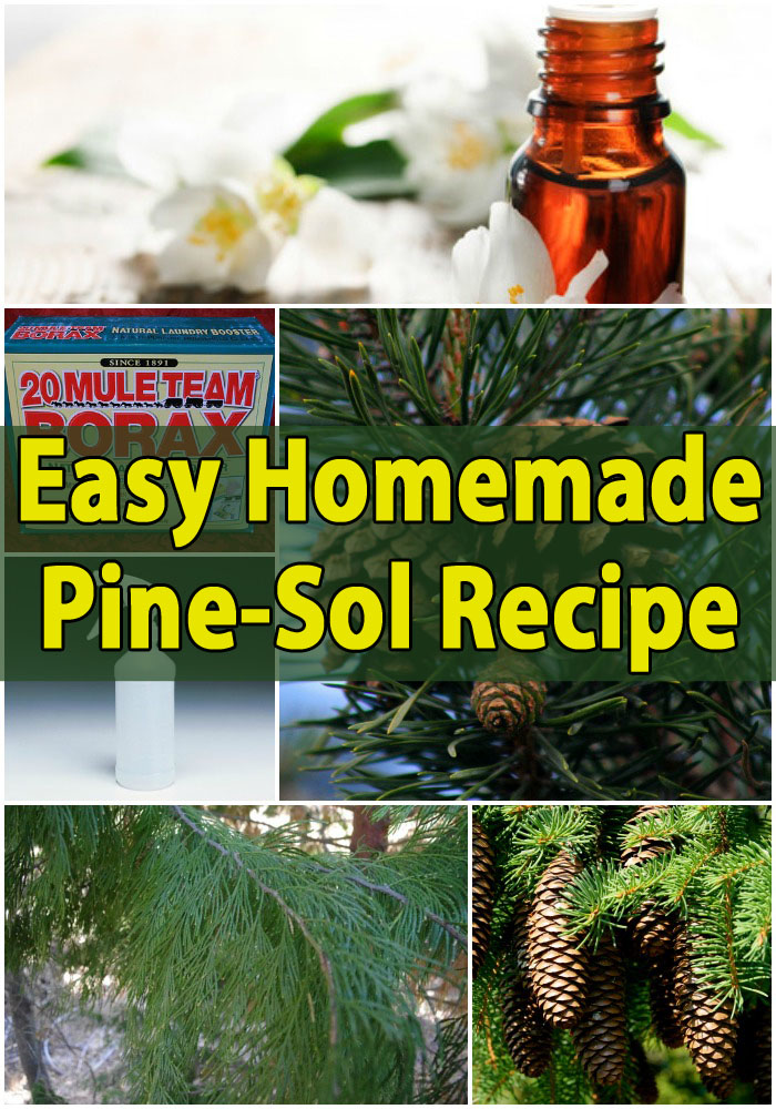 Easy Homemade Pine-Sol { Recipe }