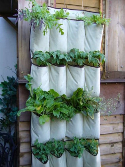 Organize Your Herb Garden - 150 Dollar Store Organizing Ideas and Projects for the Entire Home