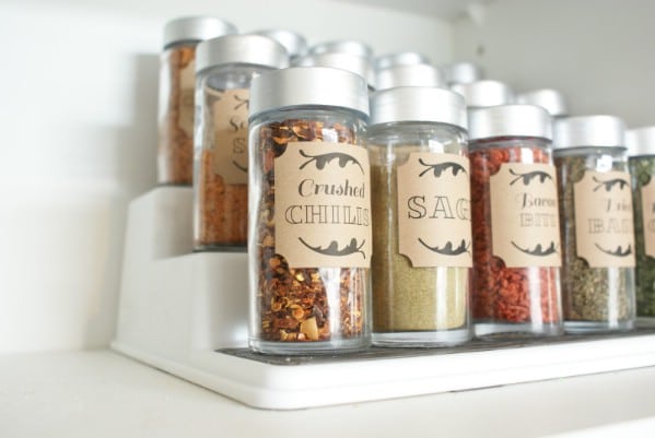 Spice Organization and Printables - 150 Dollar Store Organizing Ideas and Projects for the Entire Home