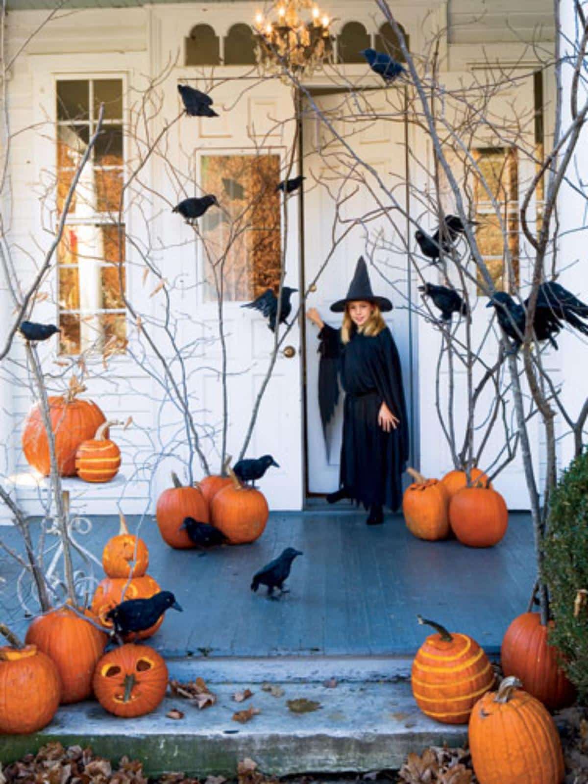 DIY Black Birds halloween decoration.