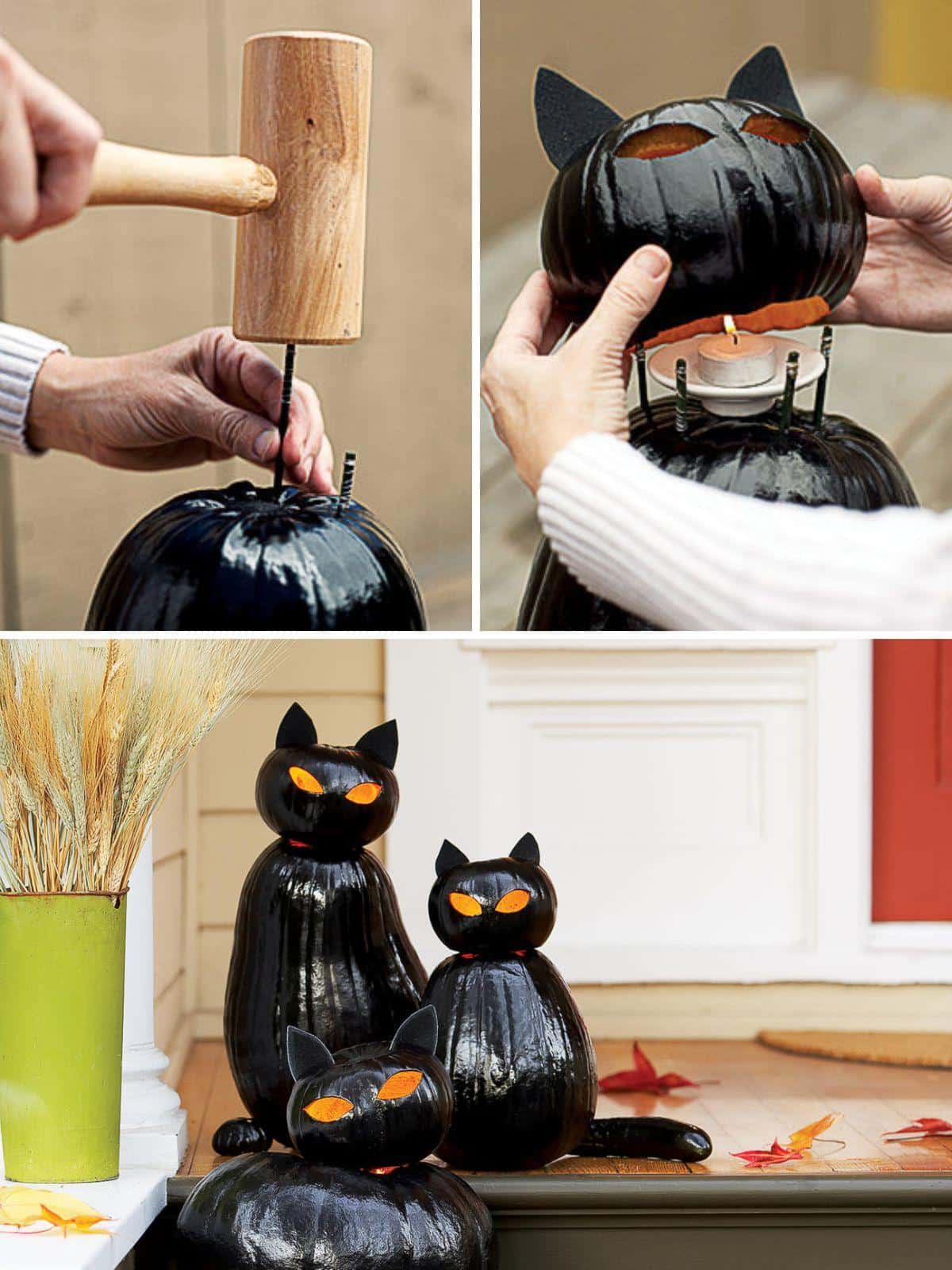 DIY Black Cat O’Lanterns.