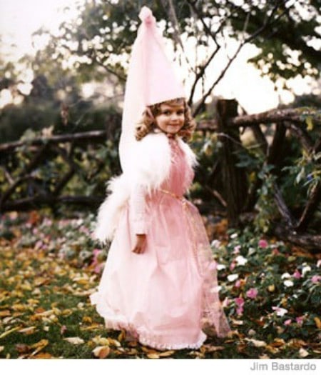 Enchanted Princess - 60 Fun and Easy DIY Halloween Costumes Your Kids Will Love
