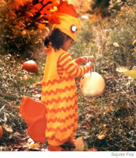 Gold Fish - 60 Fun and Easy DIY Halloween Costumes Your Kids Will Love