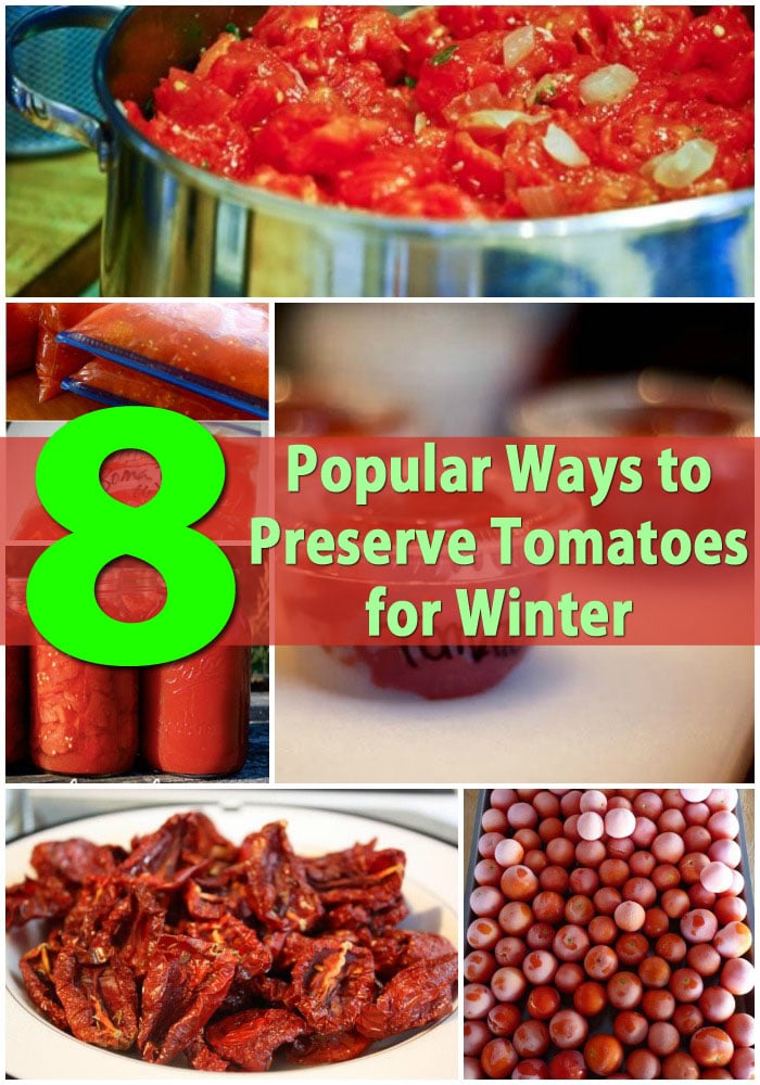 Top 8 Most Popular Ways to Preserve Tomatoes for Winter 