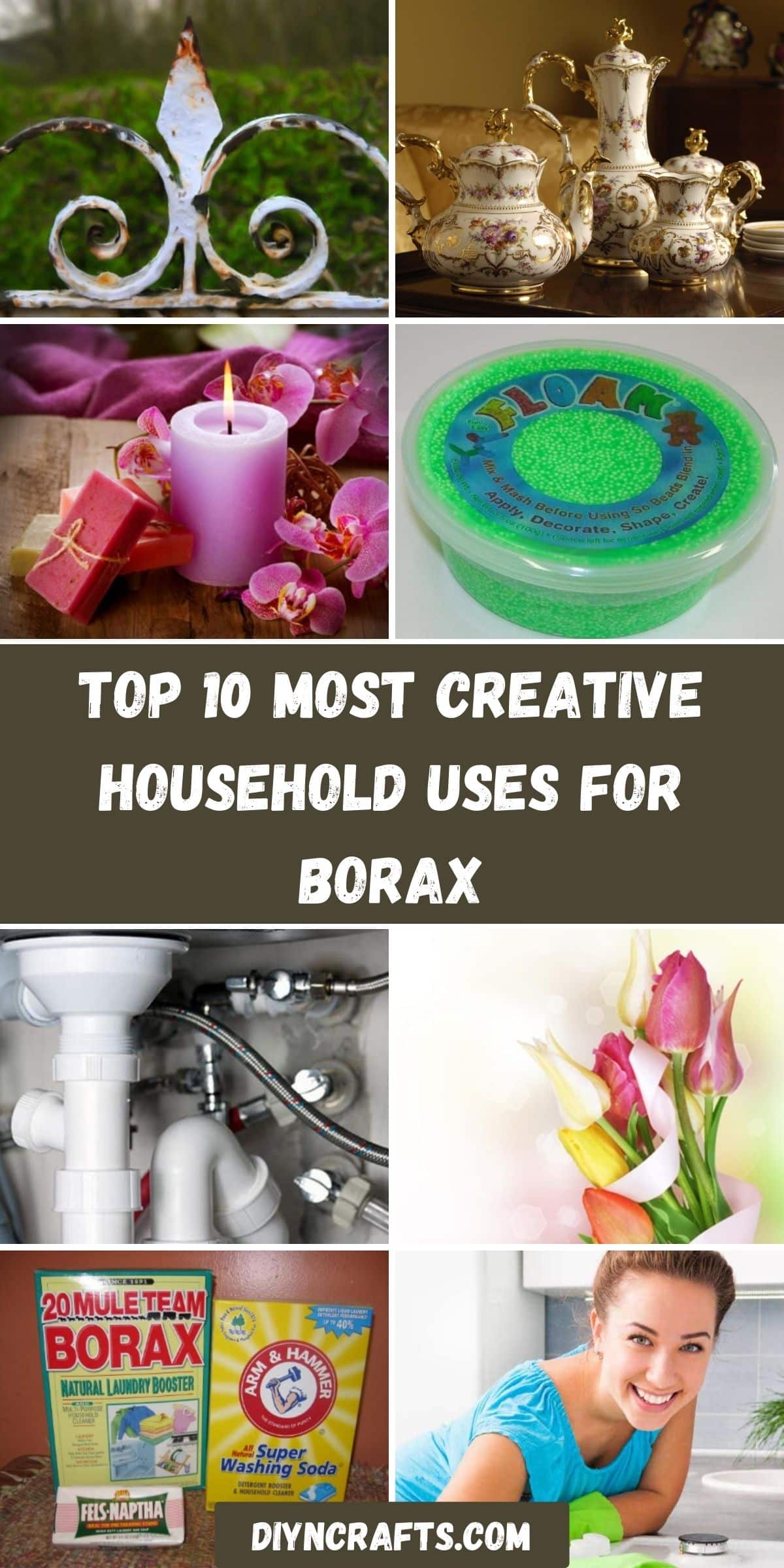 Top 10 Most Creative Household Uses for Borax collage.
