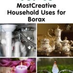 Top 10 Most Creative Household Uses for Borax pinterest image.