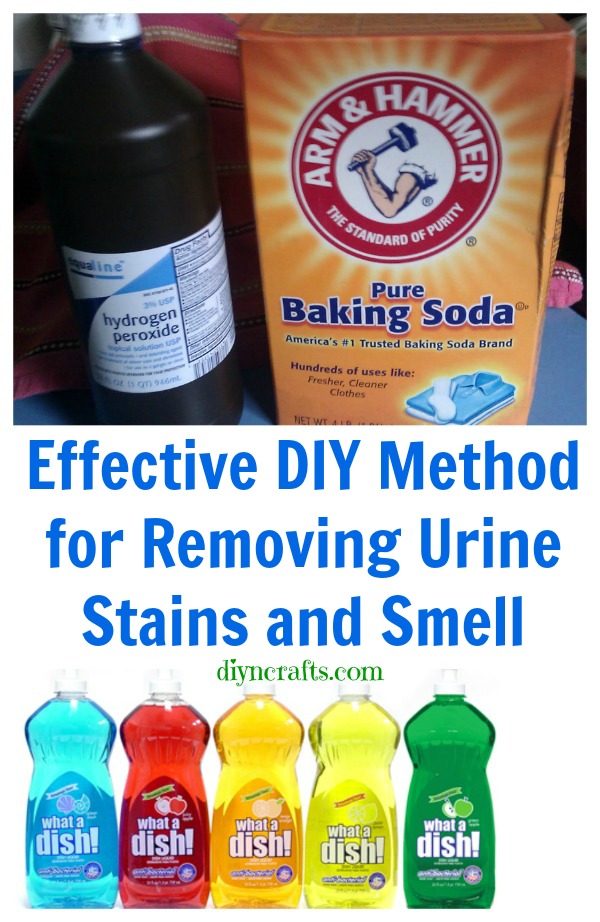 Effective DIY Method for Removing Urine Stains and Smell {Recipe}