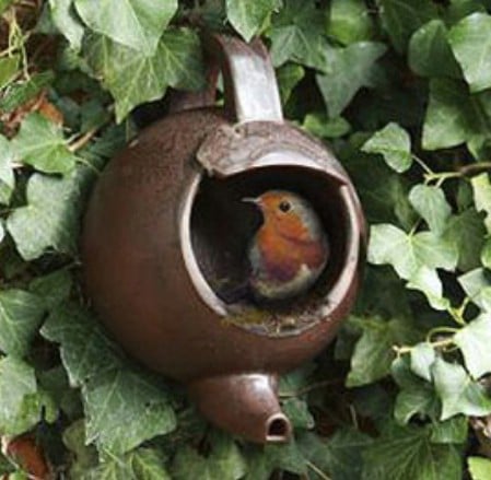 Teapot Feeder - 23 DIY Birdfeeders That Will Fill Your Garden With Birds