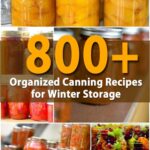 800+ Organized Canning Recipes for Winter Storage pitnerest image.