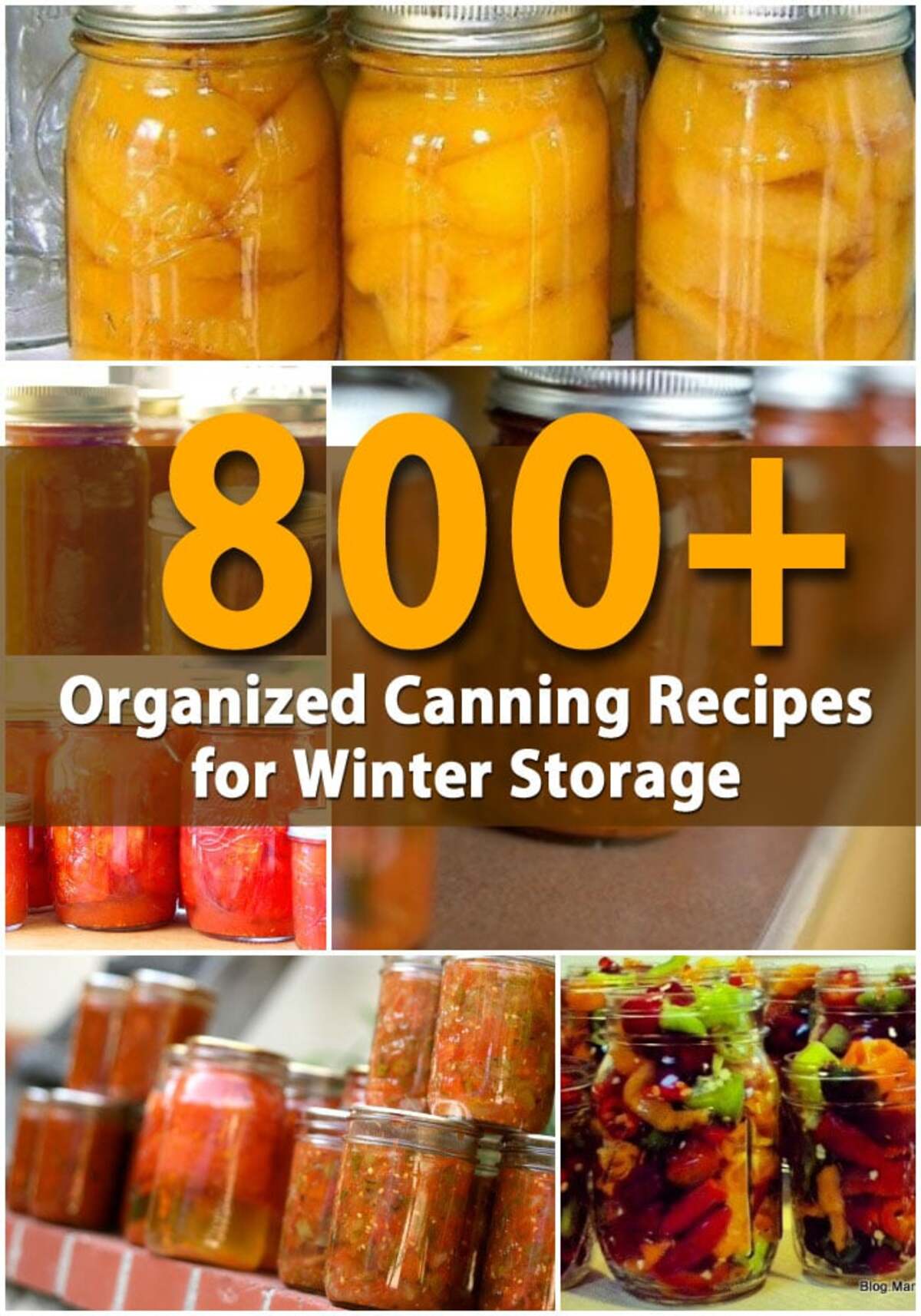 800+ Organized Canning Recipes for Winter Storage pitnerest image.