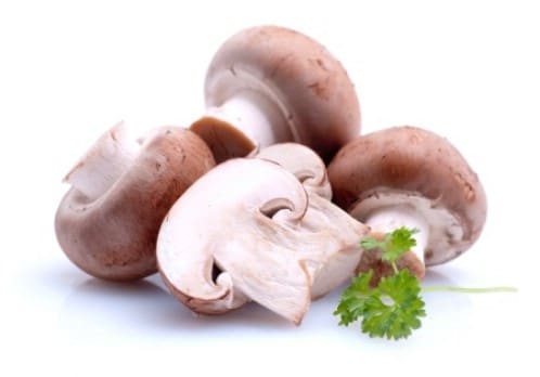 13. Mushrooms - 25 Foods You Can Re-Grow Yourself from Kitchen Scraps