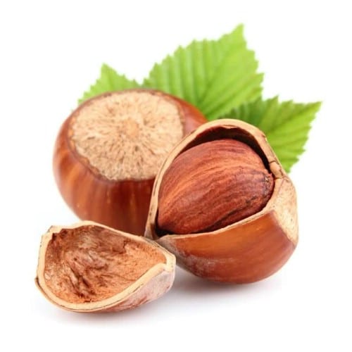 24. Hazelnuts - 25 Foods You Can Re-Grow Yourself from Kitchen Scraps