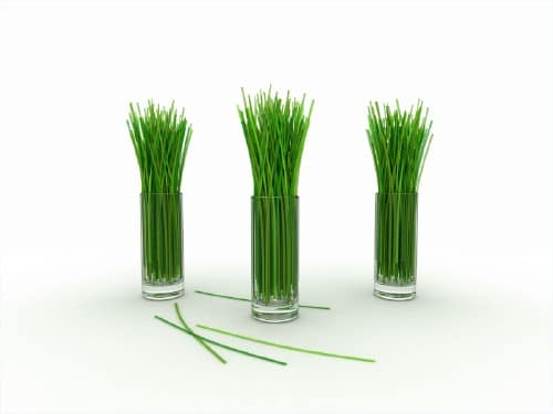 3. Lemongrass - 25 Foods You Can Re-Grow Yourself from Kitchen Scraps