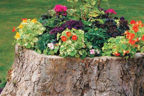 Tree Stump Planters - 40 Genius Space-Savvy Small Garden Ideas and Solutions