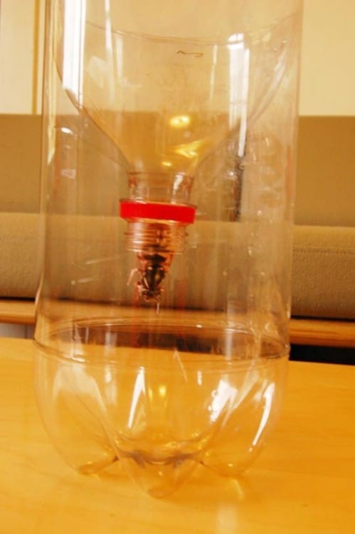Wasp Trap - 20 Fun and Creative Crafts with Plastic Soda Bottles