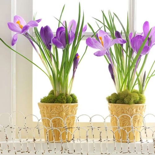Potted Plant Décor - 80 Fabulous Easter Decorations You Can Make Yourself