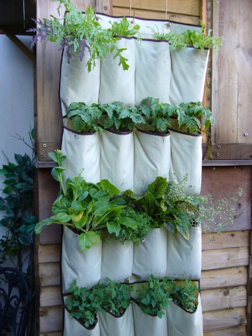 Vertical Garden - 40 Genius Space-Savvy Small Garden Ideas and Solutions