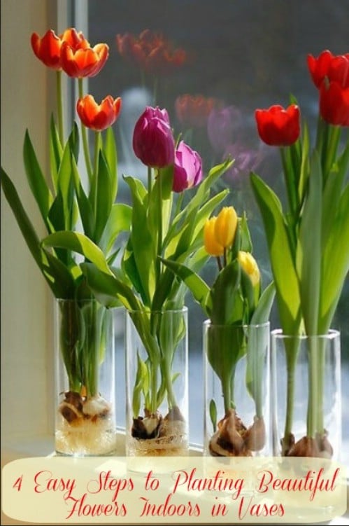 Indoor Planted Flowers - 80 Fabulous Easter Decorations You Can Make Yourself