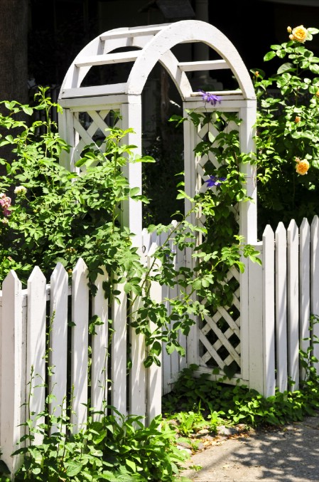Plant Vines - 150 Remarkable Projects and Ideas to Improve Your Home's Curb Appeal