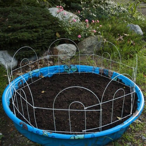 Kiddie Pool Garden - 40 Genius Space-Savvy Small Garden Ideas and Solutions