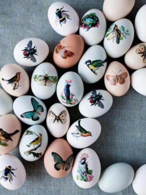 Exquisitely Decorated Easter Eggs - 80 Creative and Fun Easter Egg Decorating and Craft Ideas