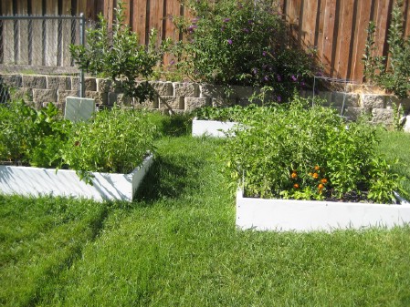 Build Planter Boxes - 150 Remarkable Projects and Ideas to Improve Your Home's Curb Appeal