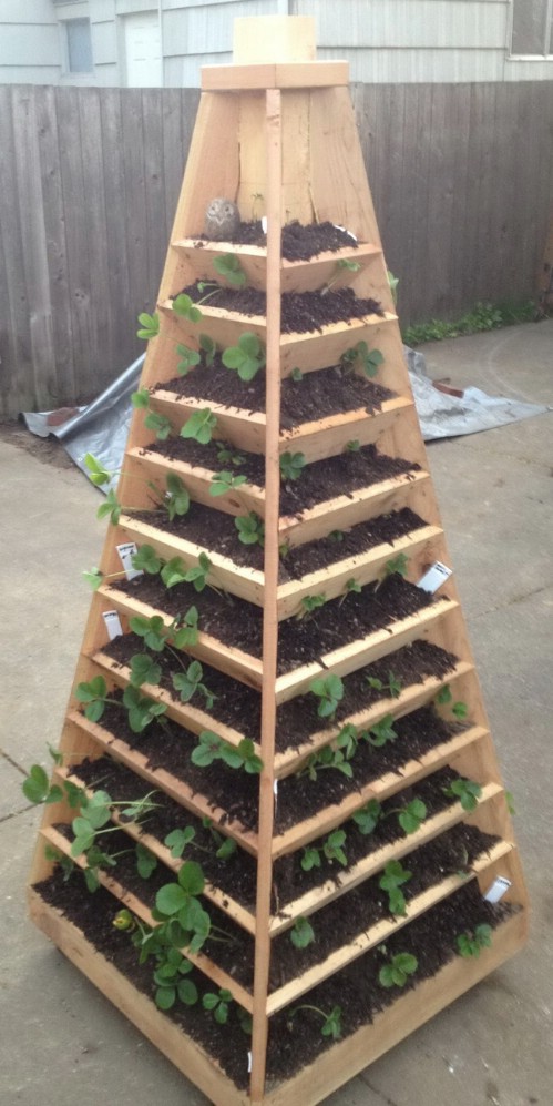 Vertical Pyramid Flower Bed
