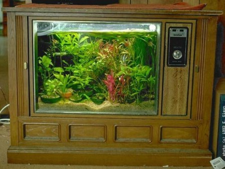 Make A New Aquarium From That Broken Old TV