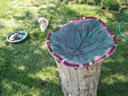 Make Stepping Stones from Rhubarb Leaves