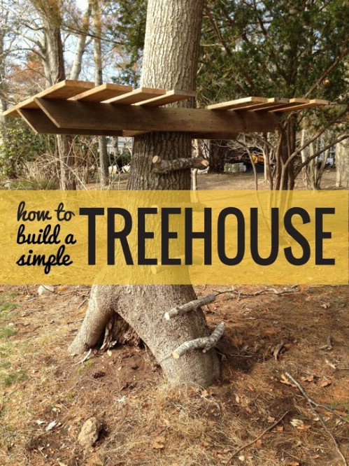 Build a Tree House