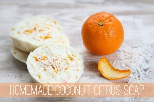 Coconut Citrus Soap Bars