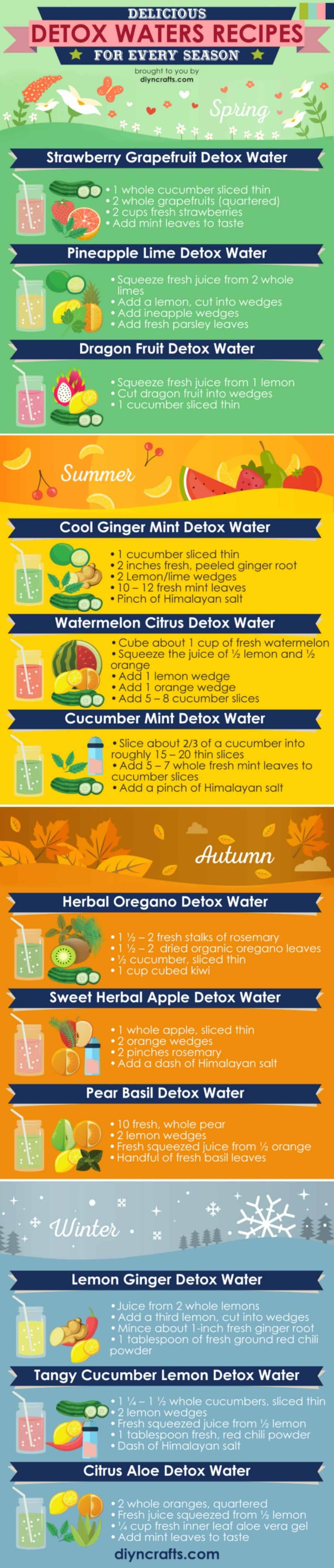 12 Seasonal Detox Water Recipes by DIYnCrafts