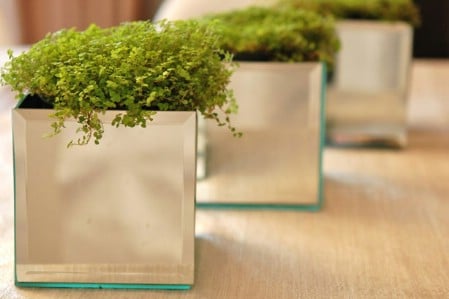 Mirrored Planters