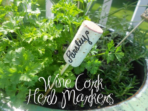 Wine Cork Herb Markers