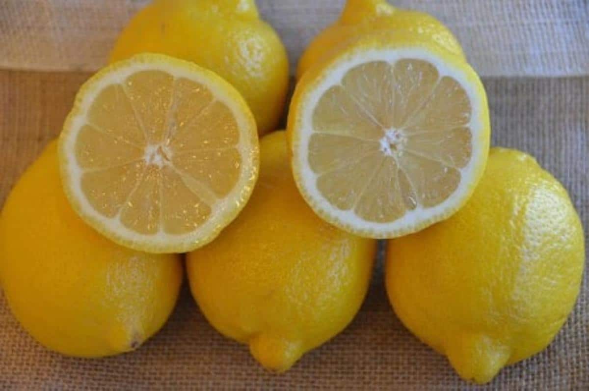 A bunch of lemons