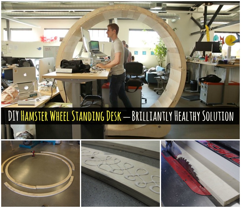 DIY Hamster Wheel Standing Desk – Brilliantly Healthy Solution
