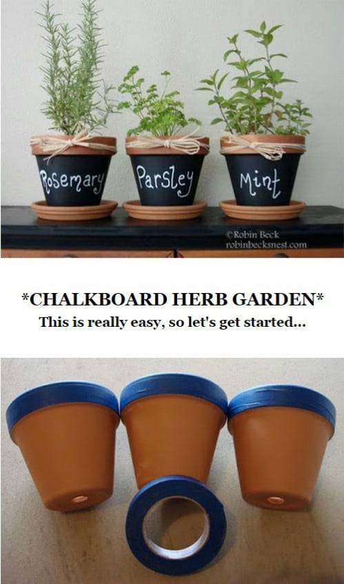 Label your herbs (or other plants).