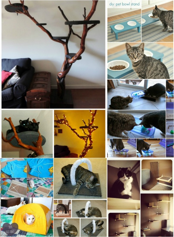 20 Purrfect DIY Projects for Cat Owners (Brilliant Projects)