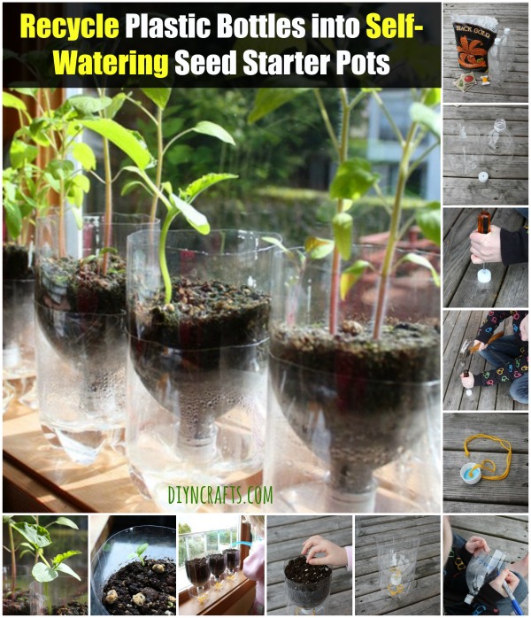 Recycle Plastic Bottles into Self-Watering Seed Starter Pots - Brilliant idea!