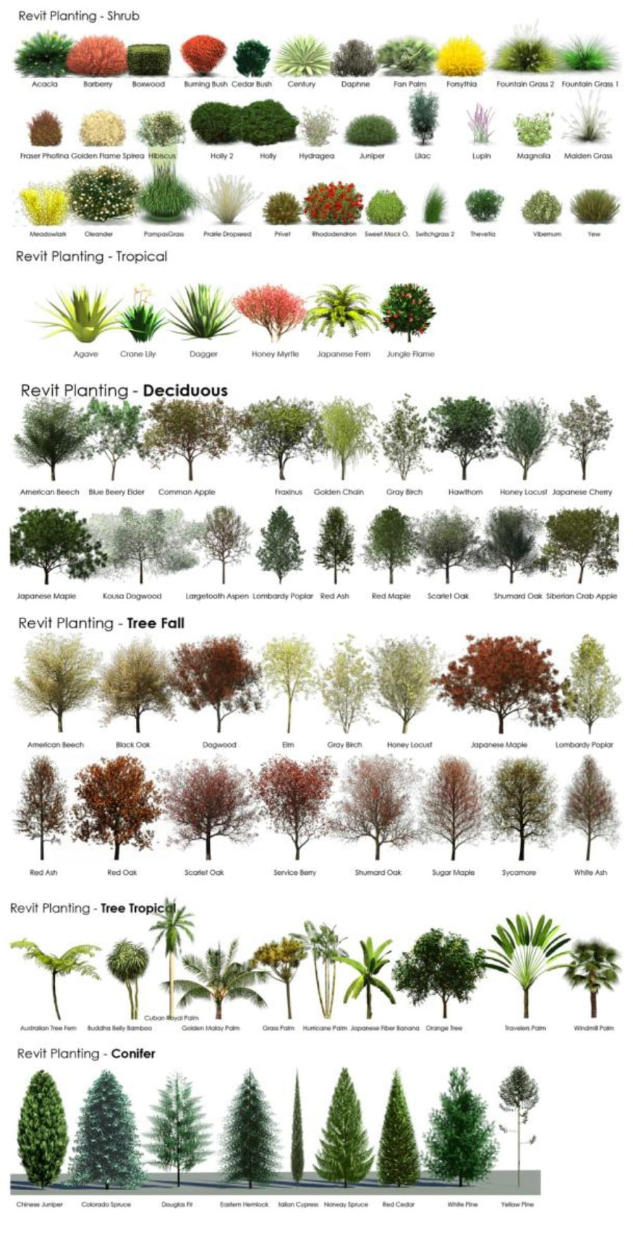 18. Check out this amazing tree and shrubbery guide - 50 Amazingly Clever Cheat Sheets To Simplify Home Decorating Projects
