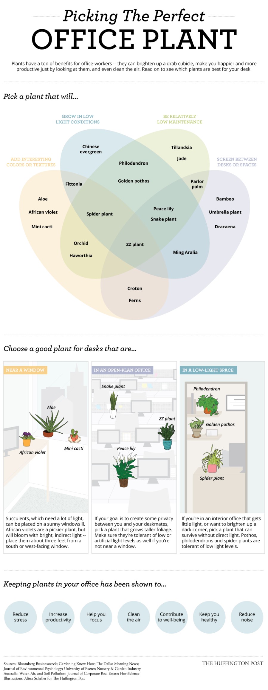 2. Figure out what types of plants you can grow - 50 Amazingly Clever Cheat Sheets To Simplify Home Decorating Projects