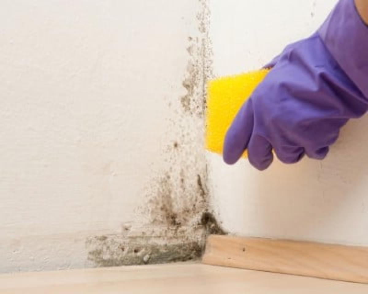 Cleaning a wall mold.