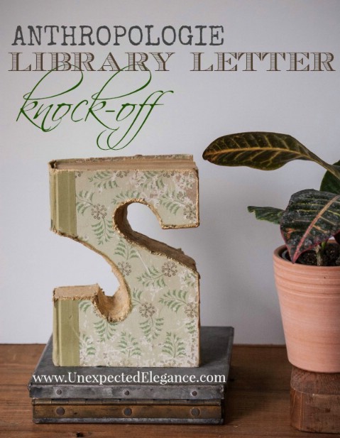 Bookworm Letters