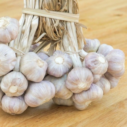 3-garlic