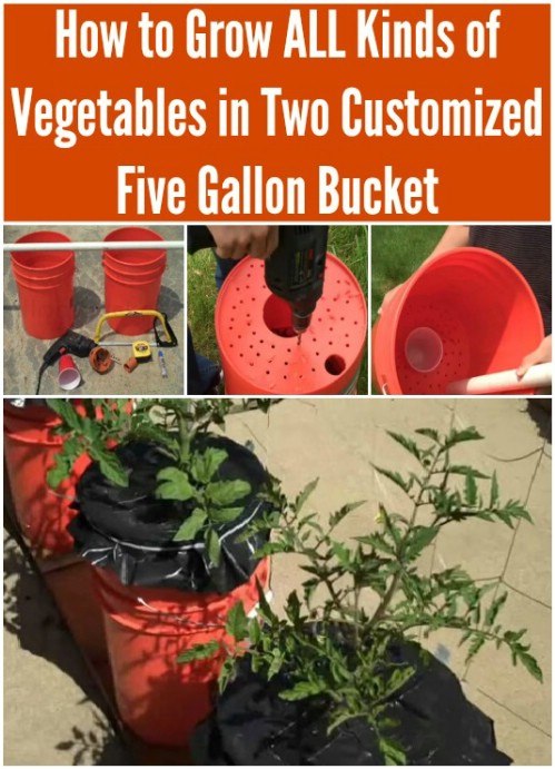 Build a bucket similar to Earthbox®.