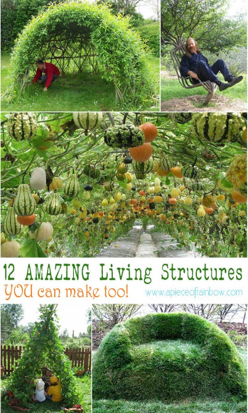 Grow a living structure.