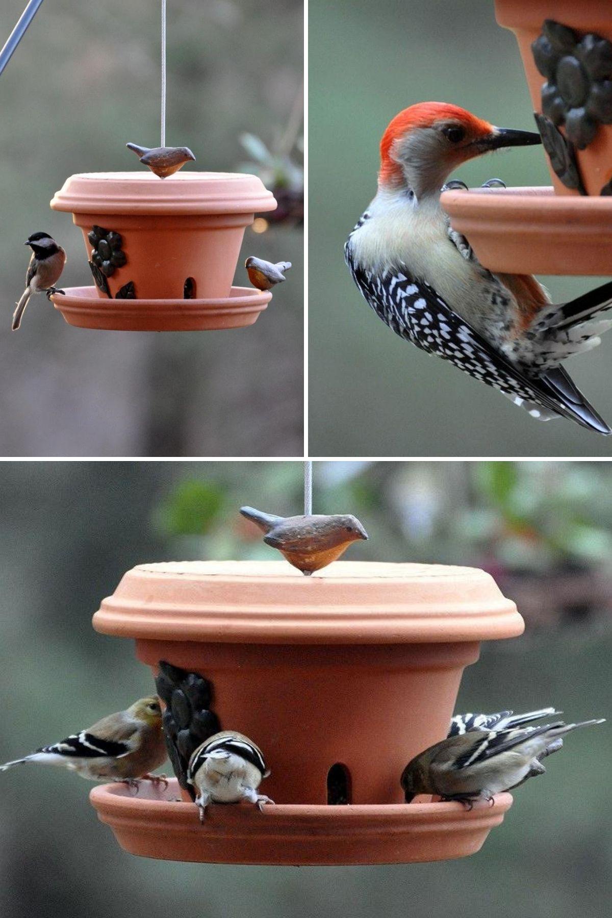Pot Bird Feeders collage.